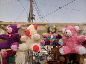 Teddy Bear