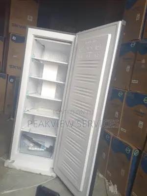 Skyrun 180l Upright Freezer for Restaurants Catering Servi