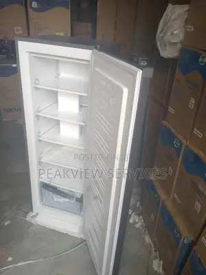 Skyrun 180l Freezer - Your Ultimate Food Preservation Soluti