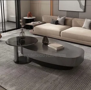 Westux Irregular Oval Coffee Table,Stainless Steel