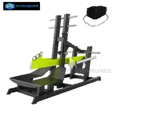 Belt Squat (Dhz Brand) D601-G02