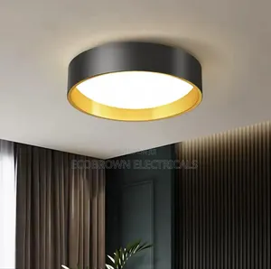 Nordic Latest Chandelier Ceiling Light