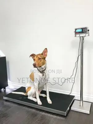 Digital Electronic Scale Dog Weighing Electronic