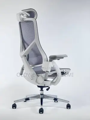 Ergonomic Meshed Office Executive Chair