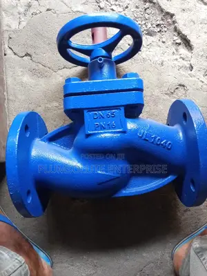 Dn65 Globe Valve
