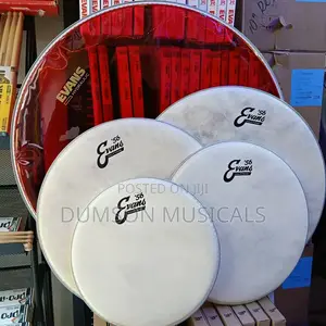 Evans Vellum