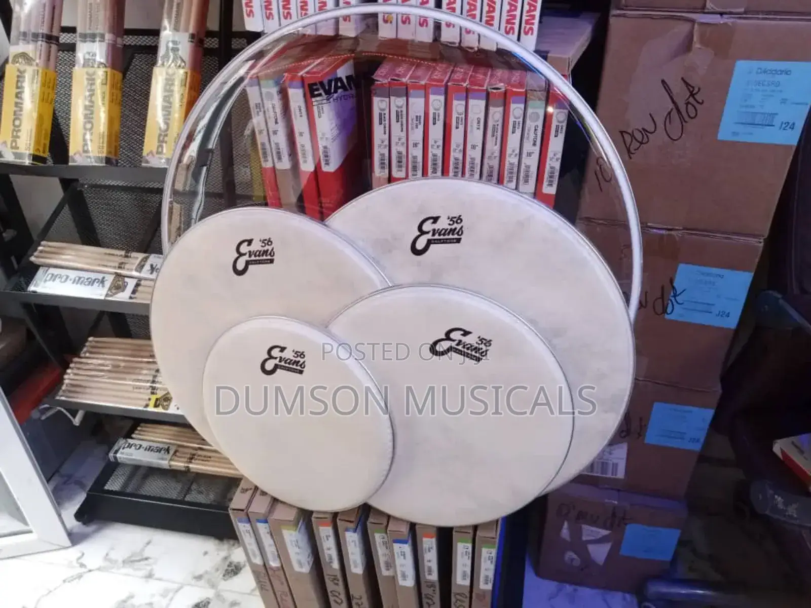 Evans Vellum