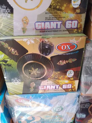 60inches Giant Fan