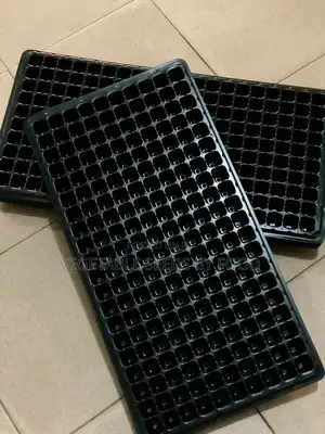 Seed Trays