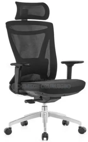 Mesh Swivel Chair With Head, Hand Rests and Lumbar Support