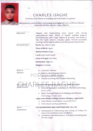 Construction Skilled Trade CV