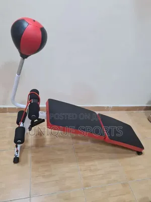 Sit Up Bench With Speed Ball