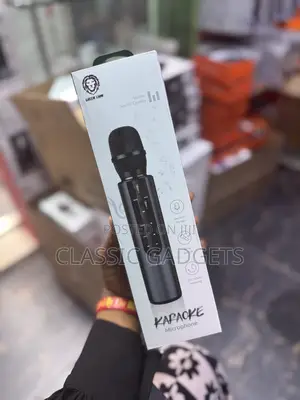 Green Lion Karaoke Microphone