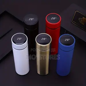 Temperature Flask