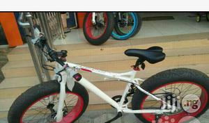 Big Tyre Bicycle With Gear Selection