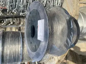 Security Electric Fence
