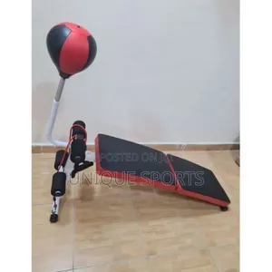 Generic Sit Up Bench With Speed Ball