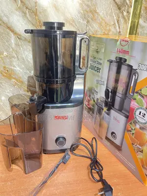 DSP 300wtts Slow Juicer