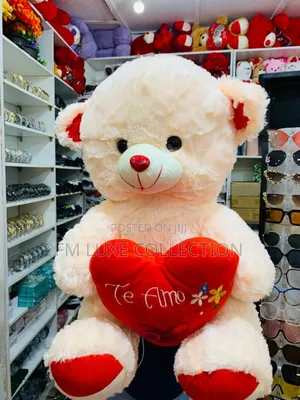 50cm Teddy Bear (Toy)
