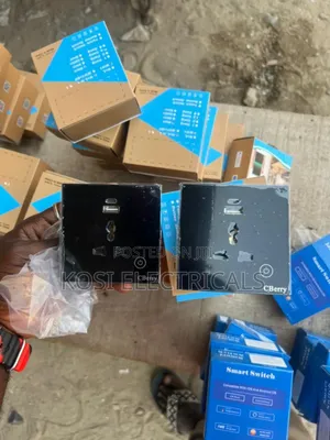 13a Single Smart Socket