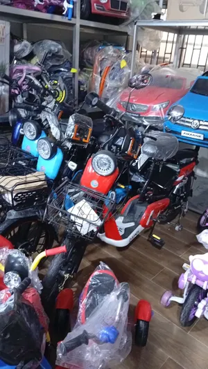Medium Electric Power Bike