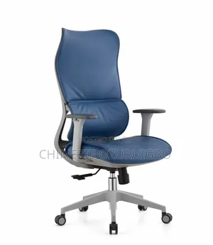 Blue Ergonomic Swivel Chair With Lumbar Support