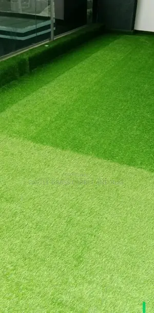 Carpet Grass for Sale Quality Standard