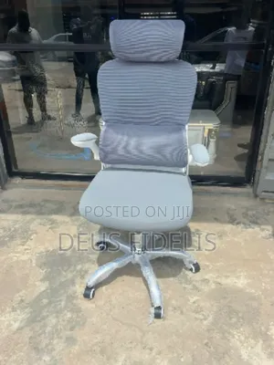 Ergonomic Office Chair With Foldable Hand