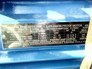 Electric Motor