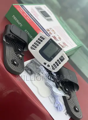 Electronic Pulse Therapy Massager