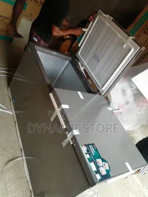 Hisense 66dd Double Door Freezer 500l