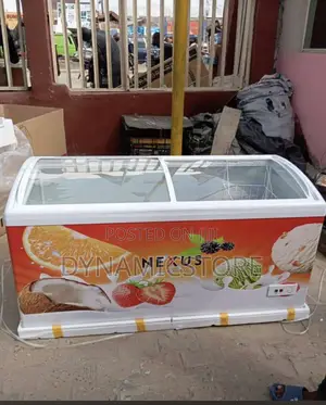 Nexus Ice Cream Show Case Freezer 516l