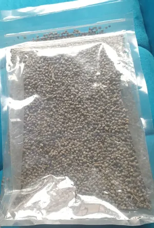 Vitex Organic Seeds Agnus-Castus (Known as Chaste Berry