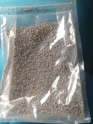 Vitex Organic Seeds Agnus-Castus (Known as Chaste Berry