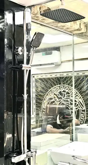 Silver Luxurious Shower