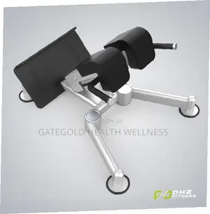 Back Extension/Hyper Extension (Dhz Brand) U2045