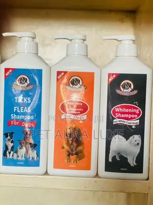 Saint Beard Shampoo