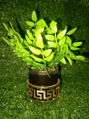 Cup Flowers