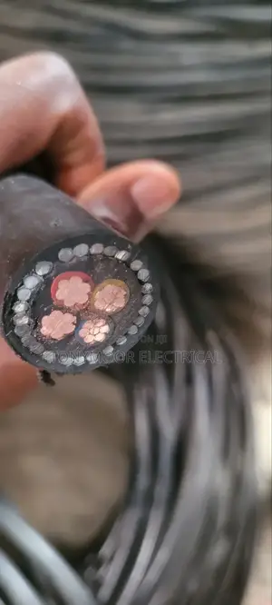 25mmx4core Armourd Cable