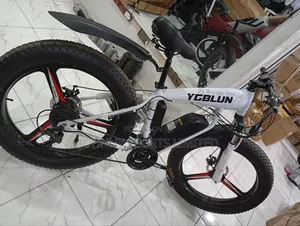 Electric Bike