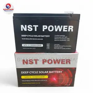 NST Power 12v 9ah/20hr Replacement Battery