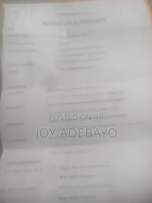 Curriculum Vitae