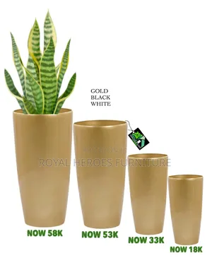 Flower Pot