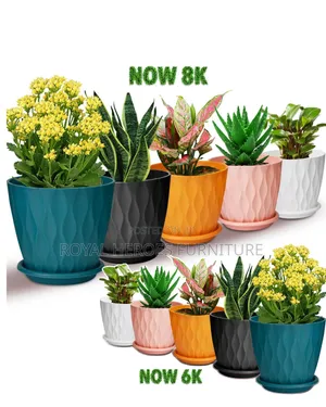 Flower Pot