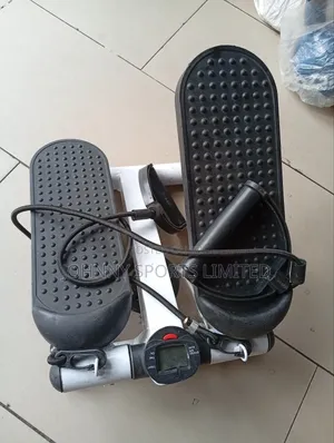Excerise Mini Stepper