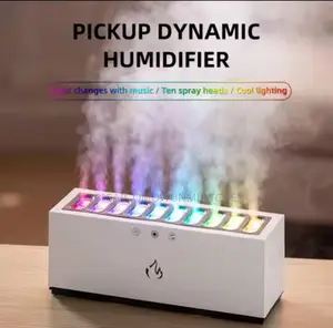 Dynamic Humidifier With Colors