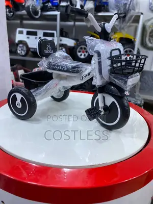 Evergreen Kids Tricycle With Loud Music