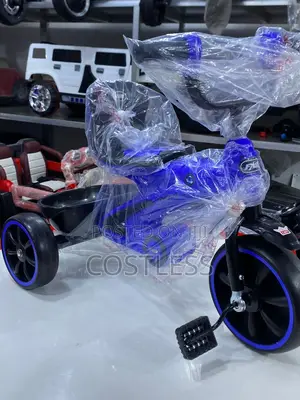 Children Tricycle for Ages 2 to 5 Years