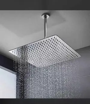 Original Top Ceiling Shower Rose
