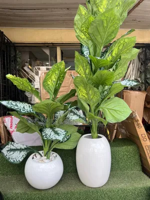 Artificial Plants With Fibre Vase